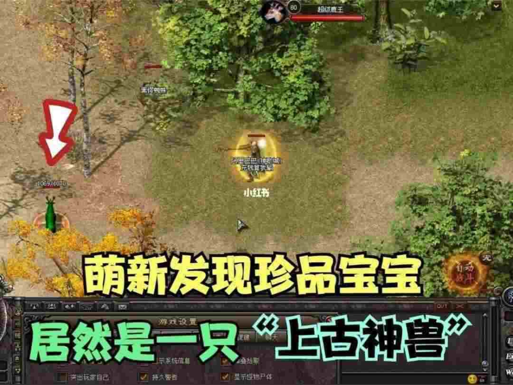 刚开超变态版传奇手游网站死亡带给我们的结果是什么